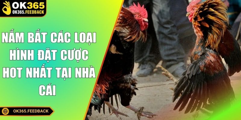 Nắm bắt các loại hình đặt cược hot nhất tại nhà cái 