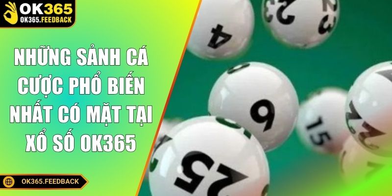 Những sảnh cá cược phổ biến nhất có mặt tại xổ số OK365